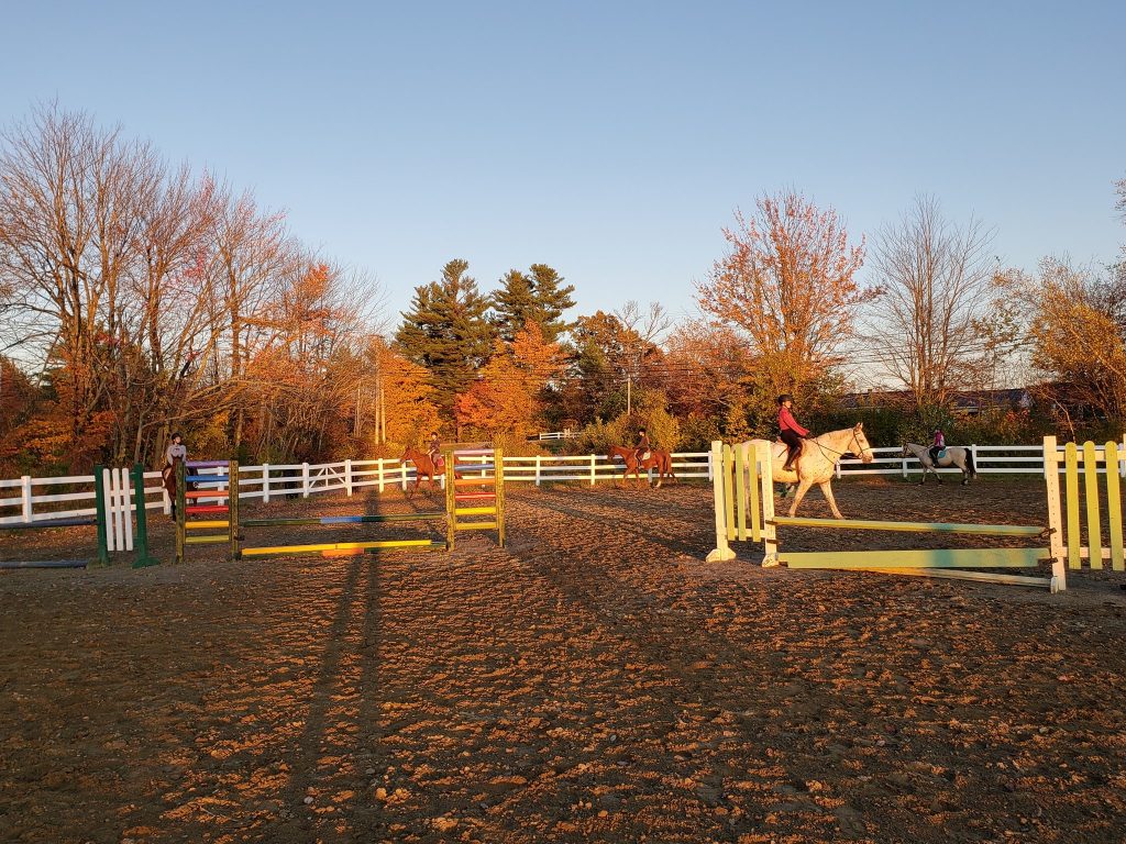 Contact Our Farm in Vassalboro, ME