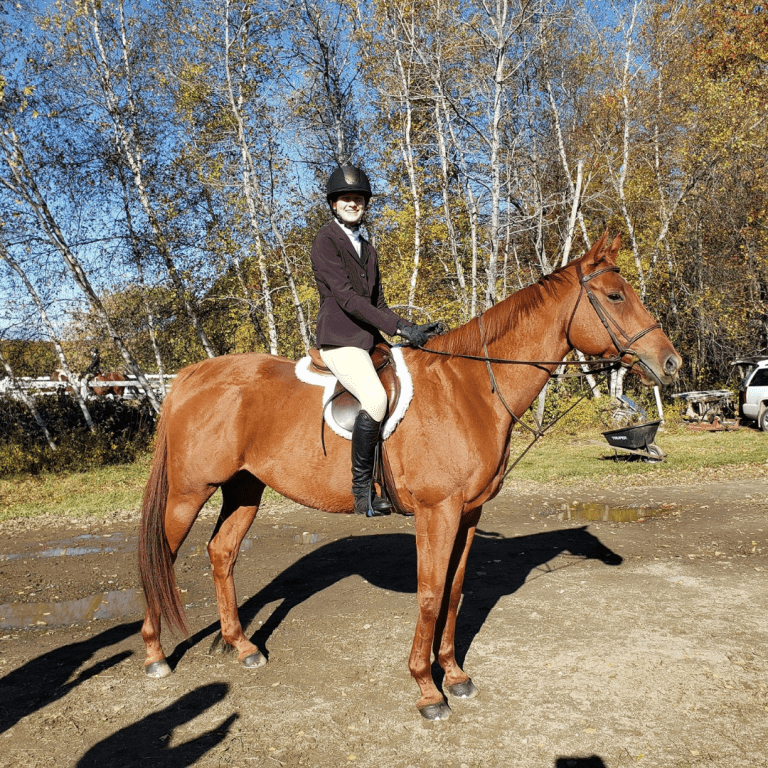 Maine Equestrian Center in Vassalboro